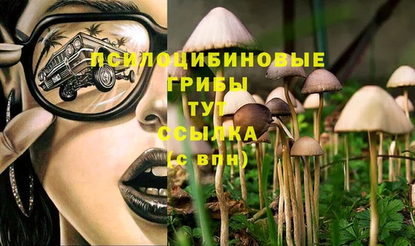 спиды Горно-Алтайск