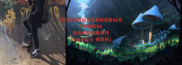 прущие грибы Горнозаводск
