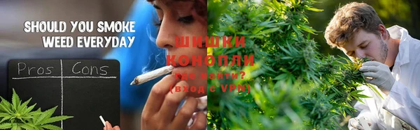 прущие грибы Горнозаводск
