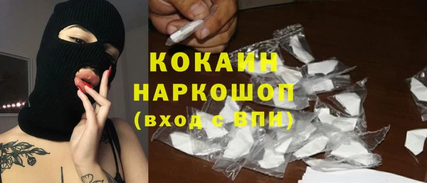 прущие грибы Горнозаводск