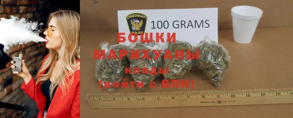 молекула духа Горняк