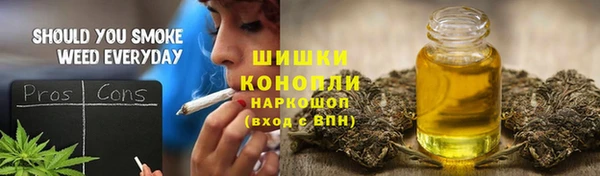 прущие грибы Горнозаводск