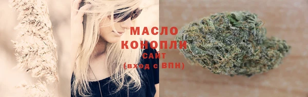 молекула духа Горняк