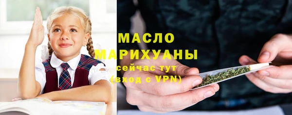 молекула духа Горняк