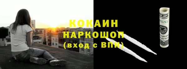 прущие грибы Горнозаводск