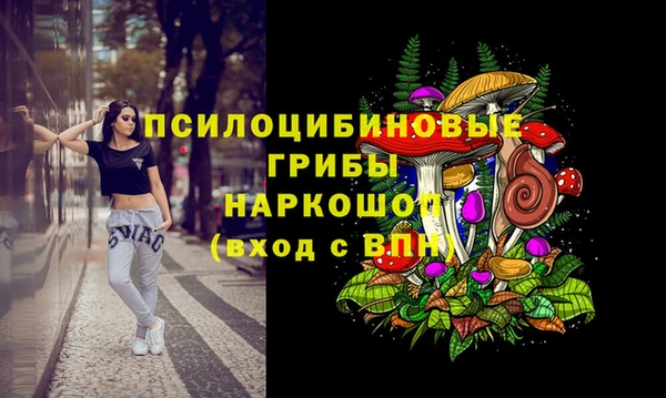 молекула духа Горняк