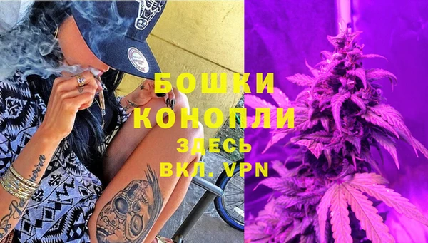 прущие грибы Горнозаводск