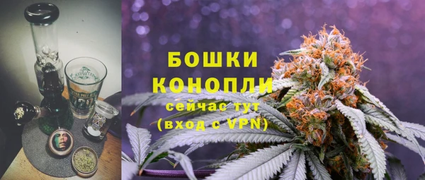 спиды Горно-Алтайск