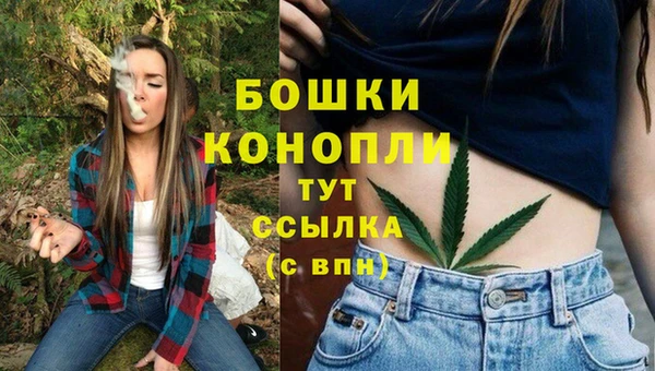 спиды Горно-Алтайск