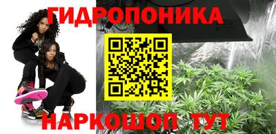 ПСИЛОЦИБИНОВЫЕ ГРИБЫ Рыбинск