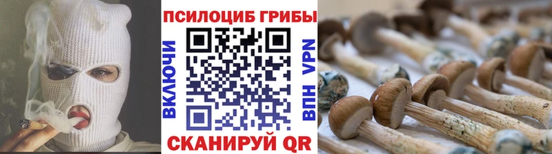 ОМГ ОМГ онион  Заринск  Псилоцибиновые грибы мухоморы  как найти закладки 
