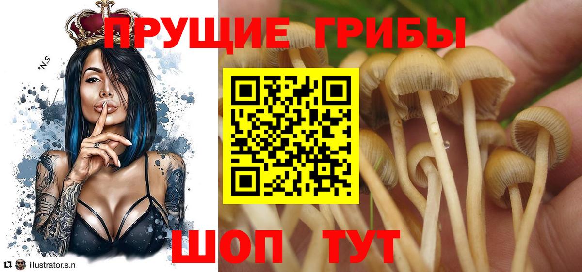 Псилоцибиновые грибы мухоморы  Псилоцибиновые грибы MAGIC MUSHROOMS  Заринск 