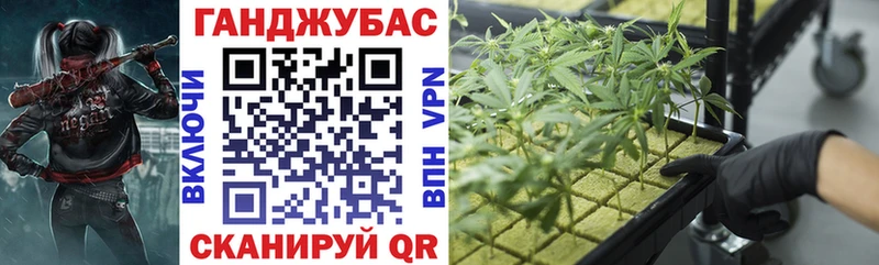 хочу наркоту  Заринск  Канабис SATIVA & INDICA 